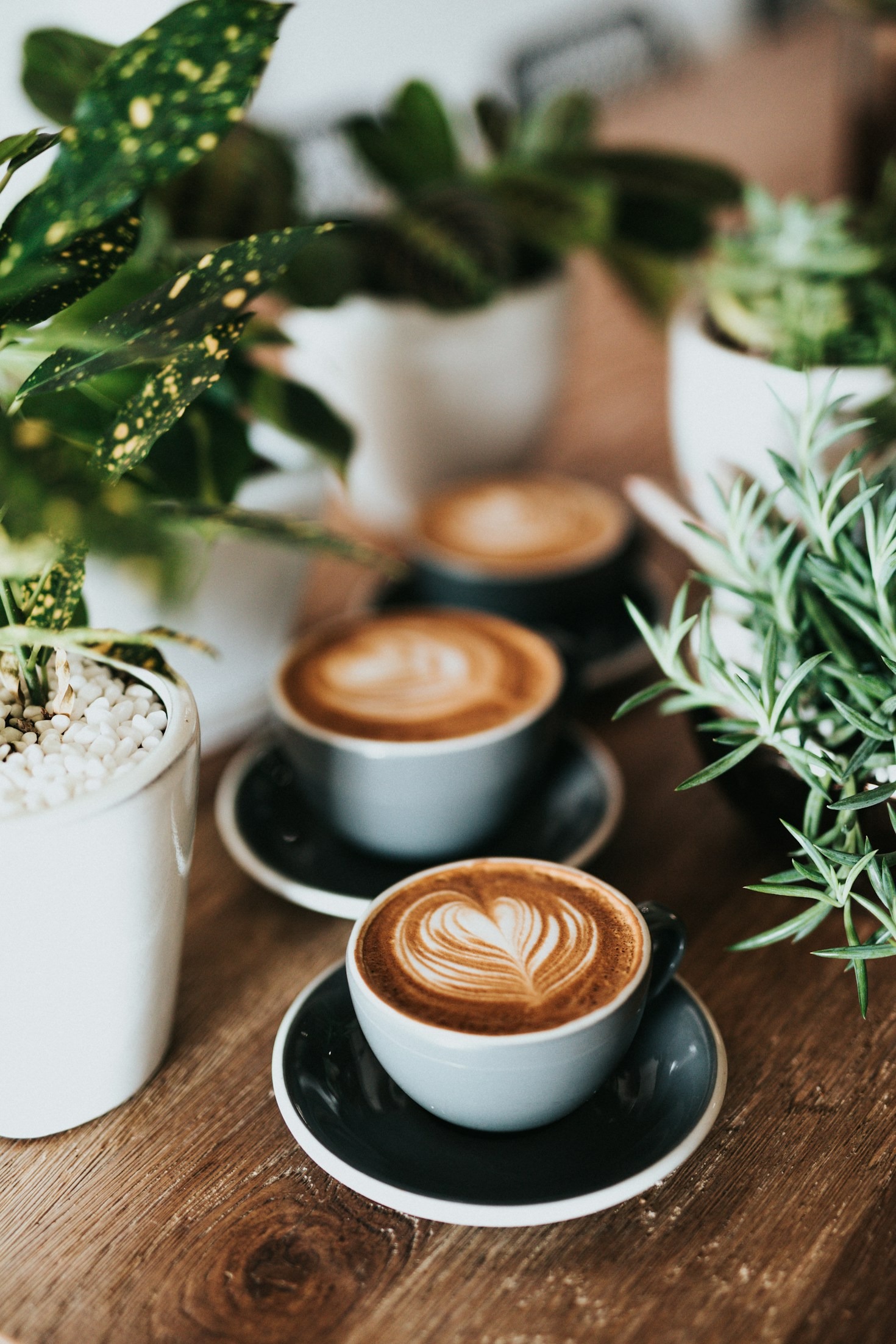 The Secret Behind Our Signature Espresso Blend